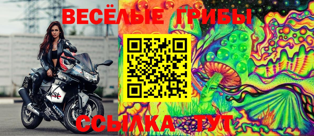 Галлюциногенные грибы Psilocybine cubensis  Вход с VPN  Псилоцибиновые грибы мицелий  Ржев 